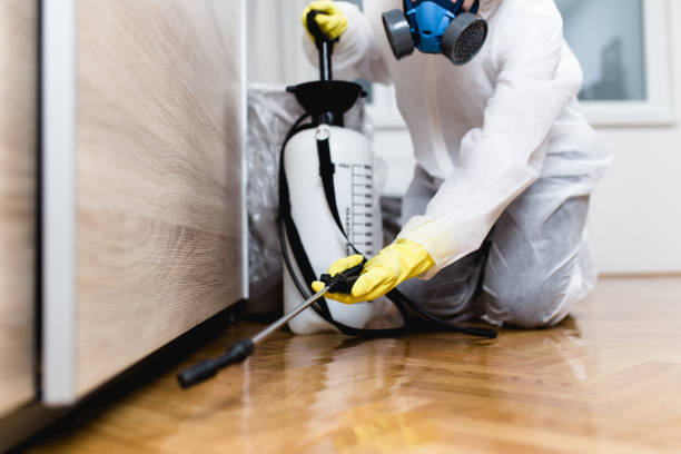 Best Exterminator Services  in Dundas, MN