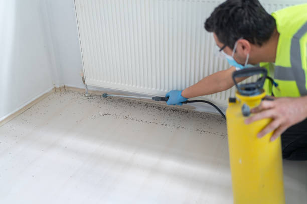 Best Bed Bug Extermination  in Dundas, MN